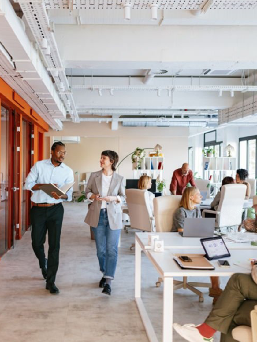 Partner-history-man white